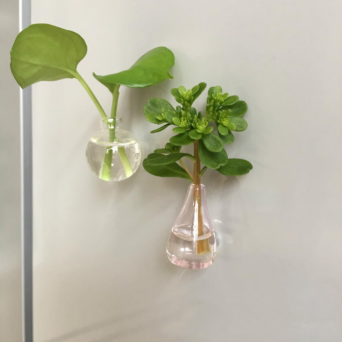 Mini Ceramic Vase Magnets 8-Pack